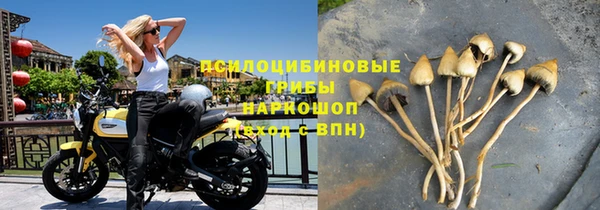 стафф Абдулино