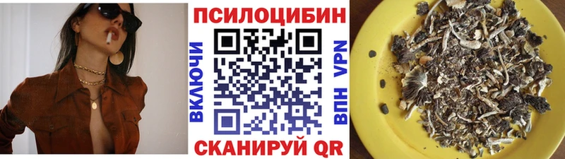 Галлюциногенные грибы Psilocybine cubensis  Россошь 